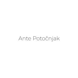 AntePotocnjak_logo_design_district