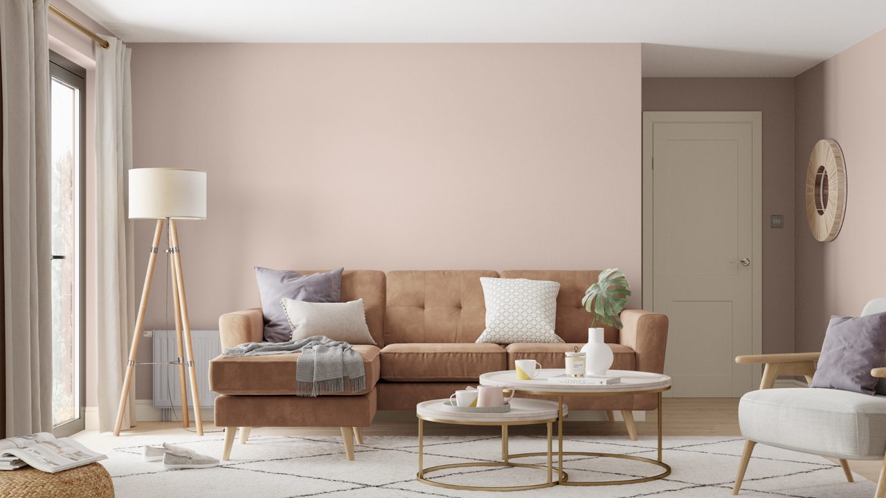 Dulux 1